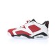 Jordan 6 Retro Carmine (2021)