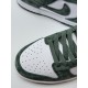 Nike Dunk Low Next Nature Viintage Green